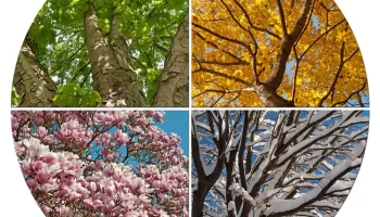 custom finishes checklist