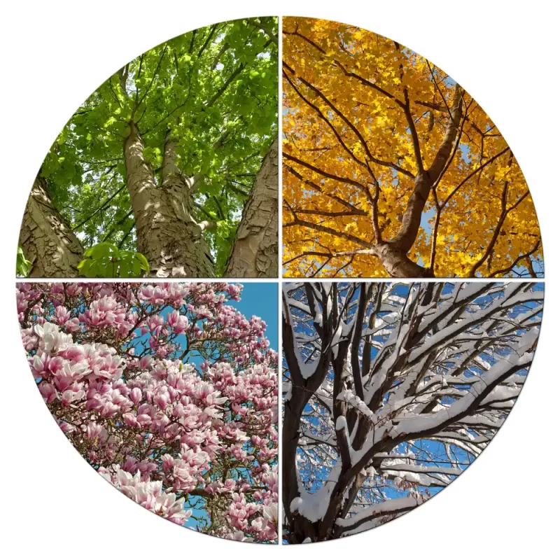 custom finishes checklist